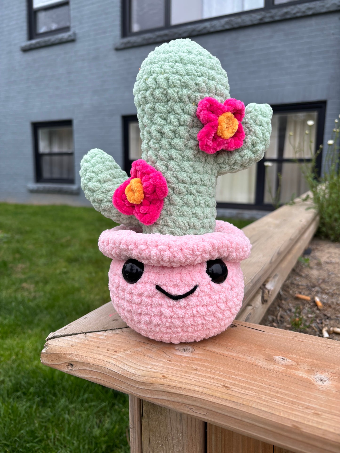 Cactus- pink pot