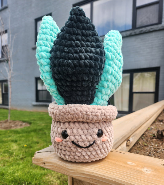Snake plant-brown pot