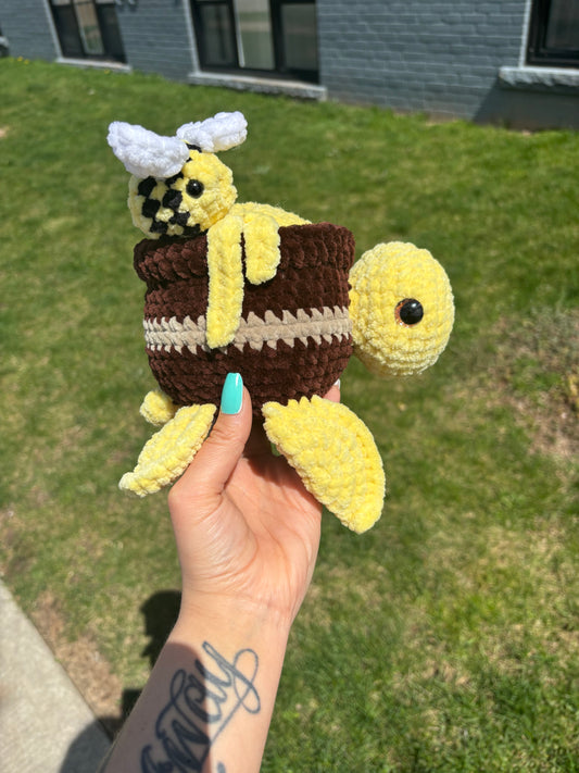 Honey pot turtle