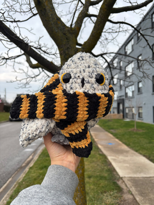Owl with scarf